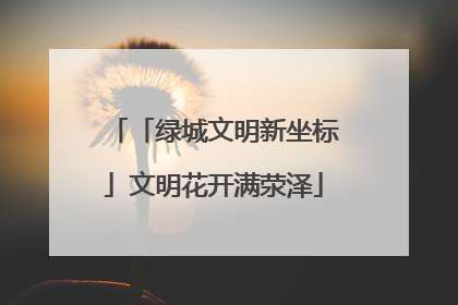 「绿城文明新坐标」文明花开满荥泽