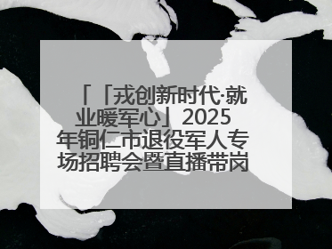 「戎创新时代·就业暖军心」2025年铜仁市退役军人专场招聘会暨直播带岗活动顺利举行