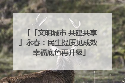 「文明城市 共建共享」永春：民生提质见成效 幸福底色再升级