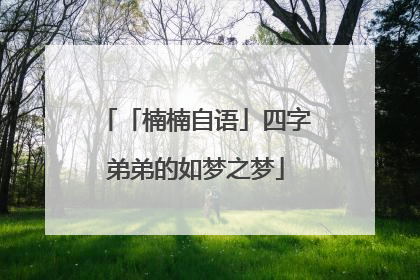 「楠楠自语」四字弟弟的如梦之梦