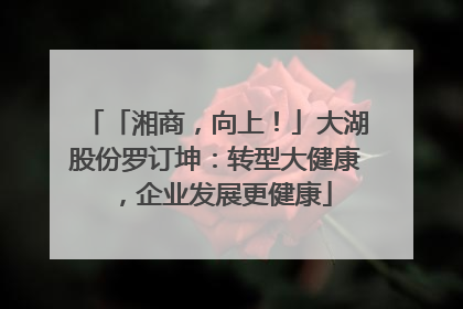 「湘商，向上！」大湖股份罗订坤：转型大健康，企业发展更健康