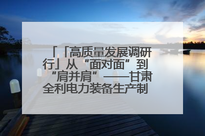 「高质量发展调研行」从“面对面”到“肩并肩”——甘肃全利电力装备生产制造项目一线见闻