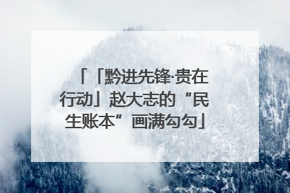 「黔进先锋·贵在行动」赵大志的“民生账本”画满勾勾