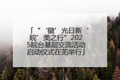 “‘徽’光日新‘皖’美之行”2025皖台基层交流活动启动仪式在芜举行