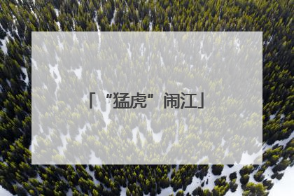 “猛虎”闹江