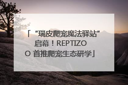 “瑞皮爬宠魔法驿站” 启幕！REPTIZOO 首推爬宠生态研学