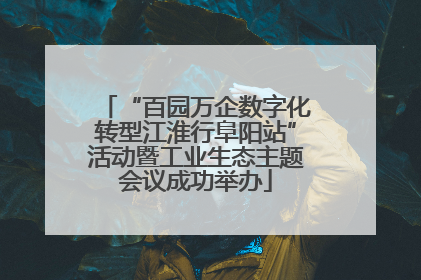 “百园万企数字化转型江淮行阜阳站”活动暨工业生态主题会议成功举办