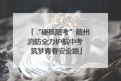 “硬核陪考”随州消防全力护航中考 筑梦青春安全路