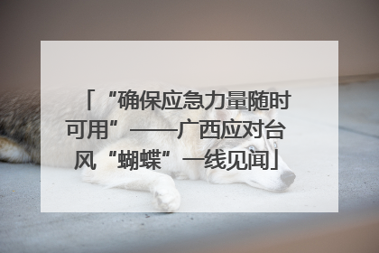 “确保应急力量随时可用”——广西应对台风“蝴蝶”一线见闻