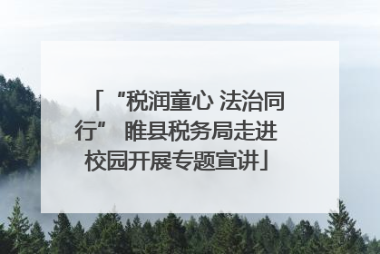 “税润童心 法治同行” 睢县税务局走进校园开展专题宣讲
