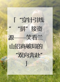 “穿针引线”“拼”接资源——笑看兰山招商破局的“双向奔赴”