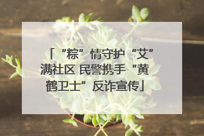 “粽”情守护“艾”满社区 民警携手“黄鹤卫士”反诈宣传