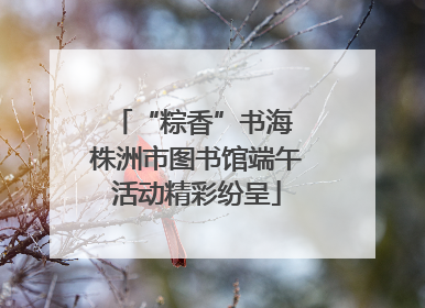 “粽香”书海 株洲市图书馆端午活动精彩纷呈