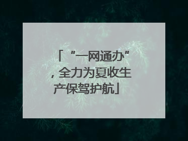 “一网通办”，全力为夏收生产保驾护航