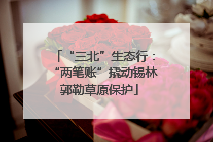“三北”生态行：“两笔账”撬动锡林郭勒草原保护