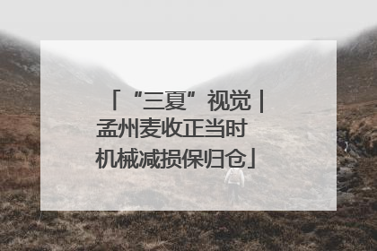 “三夏”视觉｜孟州麦收正当时 机械减损保归仓