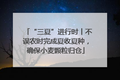 “三夏”进行时丨不误农时完成夏收夏种，确保小麦颗粒归仓