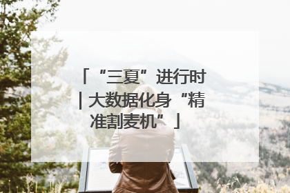 “三夏”进行时｜大数据化身“精准割麦机”