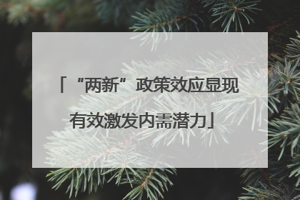 “两新”政策效应显现 有效激发内需潜力