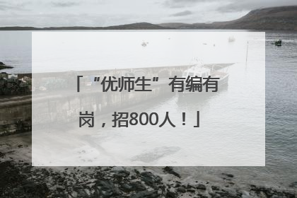 “优师生”有编有岗，招800人！