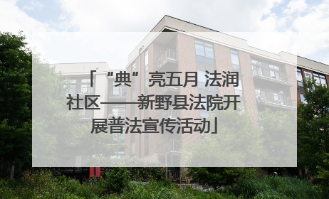 “典”亮五月 法润社区——新野县法院开展普法宣传活动
