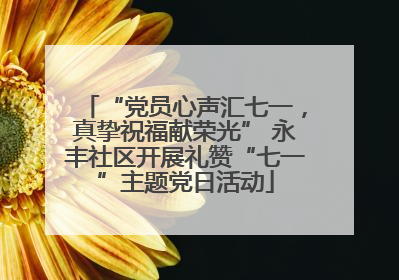 “党员心声汇七一，真挚祝福献荣光” 永丰社区开展礼赞“七一”主题党日活动