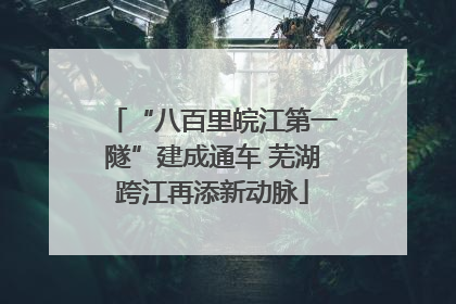 “八百里皖江第一隧”建成通车 芜湖跨江再添新动脉