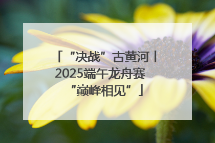 “决战”古黄河丨2025端午龙舟赛“巅峰相见”