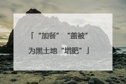 “加餐”“盖被” 为黑土地“增肥”