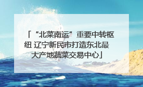 “北菜南运”重要中转枢纽 辽宁新民市打造东北最大产地蔬菜交易中心
