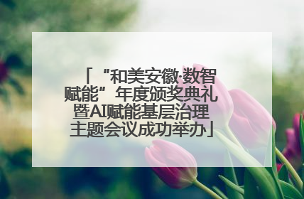 “和美安徽·数智赋能”年度颁奖典礼暨AI赋能基层治理主题会议成功举办