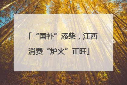 “国补”添柴，江西消费“炉火”正旺