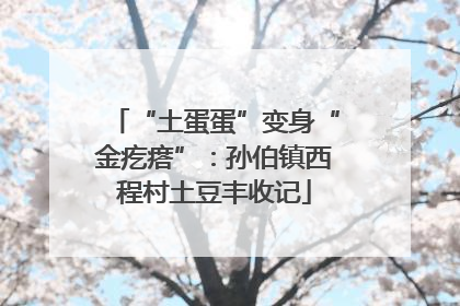 “土蛋蛋”变身“金疙瘩”：孙伯镇西程村土豆丰收记