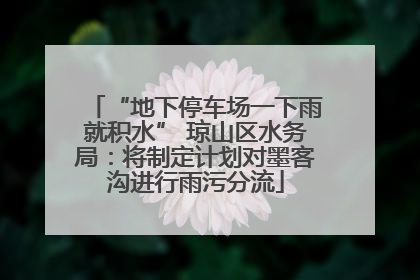 “地下停车场一下雨就积水” 琼山区水务局：将制定计划对墨客沟进行雨污分流