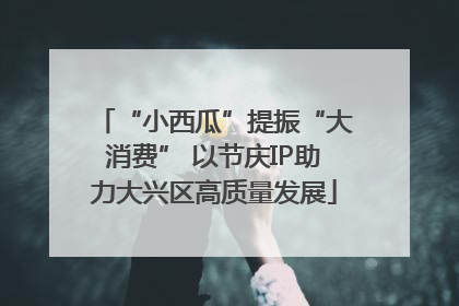 “小西瓜”提振“大消费” 以节庆IP助力大兴区高质量发展