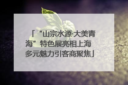 “山宗水源·大美青海”特色展亮相上海 多元魅力引客商聚焦