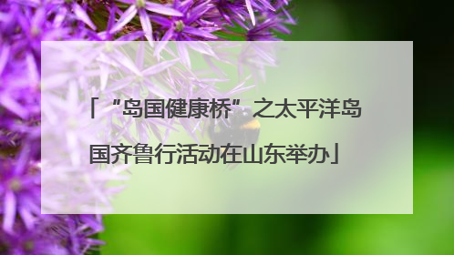 “岛国健康桥”之太平洋岛国齐鲁行活动在山东举办