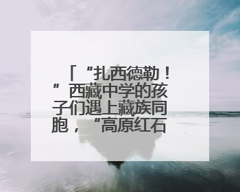 “扎西德勒！”西藏中学的孩子们遇上藏族同胞，“高原红石榴”绽放荆楚大地