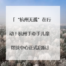 “杭州无孤”在行动！杭州手牵手儿童帮扶中心正式启航