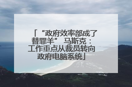 “政府效率部成了替罪羊” 马斯克：工作重点从裁员转向政府电脑系统