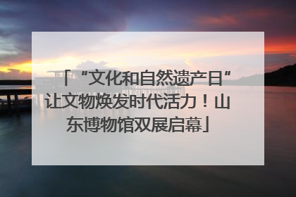 “文化和自然遗产日”让文物焕发时代活力！山东博物馆双展启幕