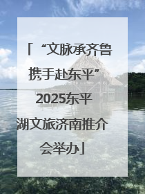 “文脉承齐鲁 携手赴东平” 2025东平湖文旅济南推介会举办