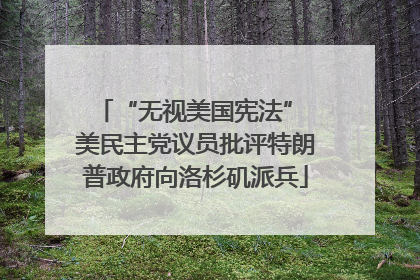 “无视美国宪法” 美民主党议员批评特朗普政府向洛杉矶派兵