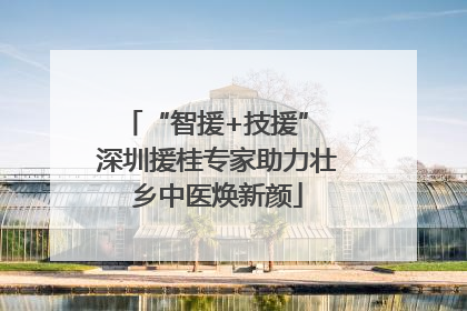 “智援+技援” 深圳援桂专家助力壮乡中医焕新颜