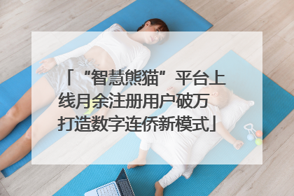 “智慧熊猫”平台上线月余注册用户破万 打造数字连侨新模式