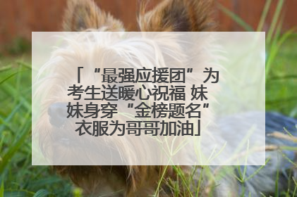 “最强应援团”为考生送暖心祝福 妹妹身穿“金榜题名”衣服为哥哥加油