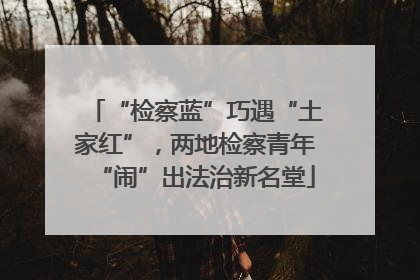 “检察蓝”巧遇“土家红”，两地检察青年“闹”出法治新名堂