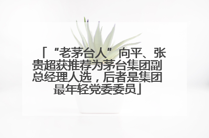 “老茅台人”向平、张贵超获推荐为茅台集团副总经理人选，后者是集团最年轻党委委员