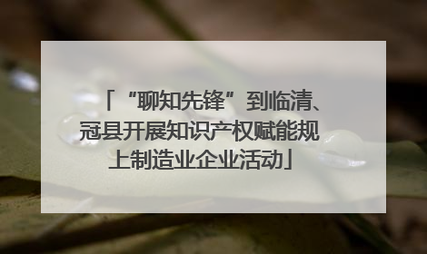 “聊知先锋”到临清、冠县开展知识产权赋能规上制造业企业活动