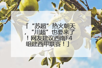 “苏超”热火朝天，“川超”也要来了！网友建议西南F4组建西甲联赛！